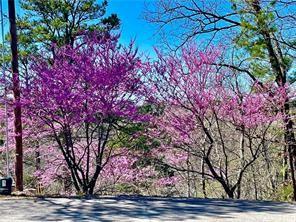 5 Augusta Ln, Holiday Island, AR 72631 - view of street