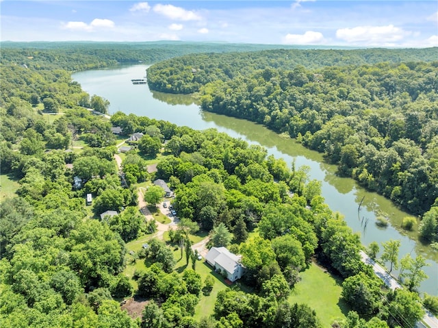9225 Charles St, Rogers, AR 72756 - aerial view of a forest and a nearby body of water