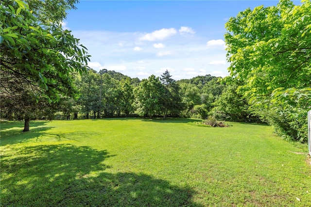 9225 Charles St, Rogers, AR 72756 - view of grassy yard