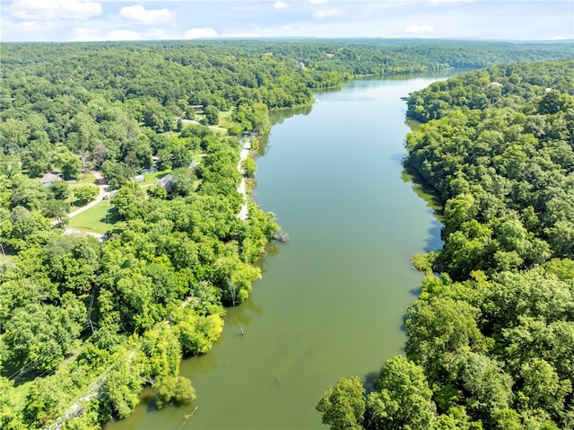 9225 Charles St, Rogers, AR 72756 - bird's eye view of a heavily wooded area and a large body of water