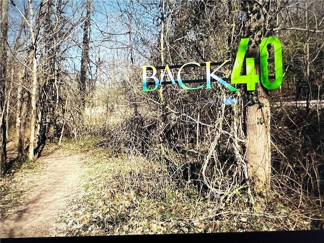 LOT18OFBLOCK1 Bedlington Ln, Bella Vista, AR 72714 - photo 7