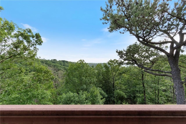 7 El Dorado Dr, Holiday Island, AR 72631 - view of wooded area
