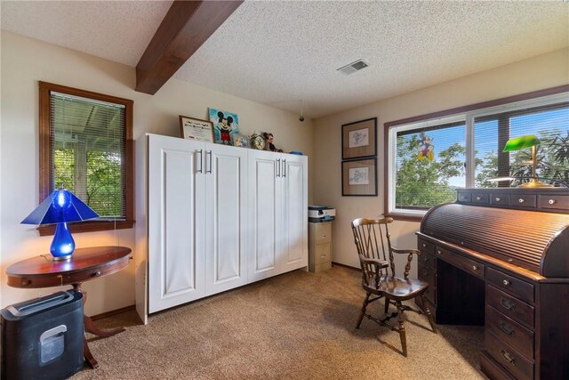 7 El Dorado Dr, Holiday Island, AR 72631 - office space featuring carpet floors, a textured ceiling, baseboards, and beamed ceiling