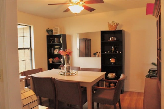 4118 Tanya Cir, Russellville, AR 72801 - photo 9