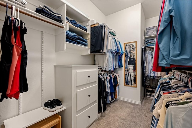 2314 S Mont Blanc Ave, Rogers, AR 72758 - spacious closet with light carpet