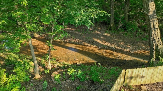 694 Bison Run St, Farmington, AR 72730 - view of yard