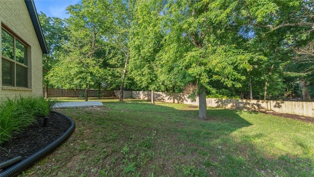 694 Bison Run St, Farmington, AR 72730 - view of yard