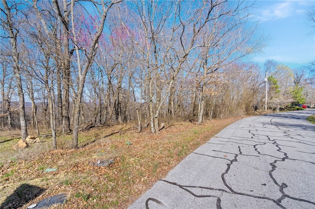 LOT1 Timberline Dr, Garfield, AR 72732 - photo 2