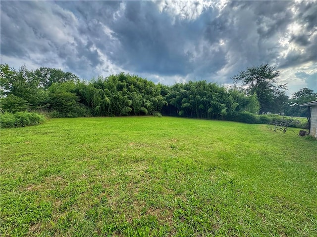 1800 Pine Hill Rd, Dover, AR 72837 - photo 26