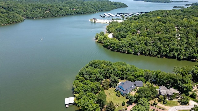 14559 Zimmerman Ln, Rogers, AR 72756 - drone / aerial view of a forest and a nearby body of water
