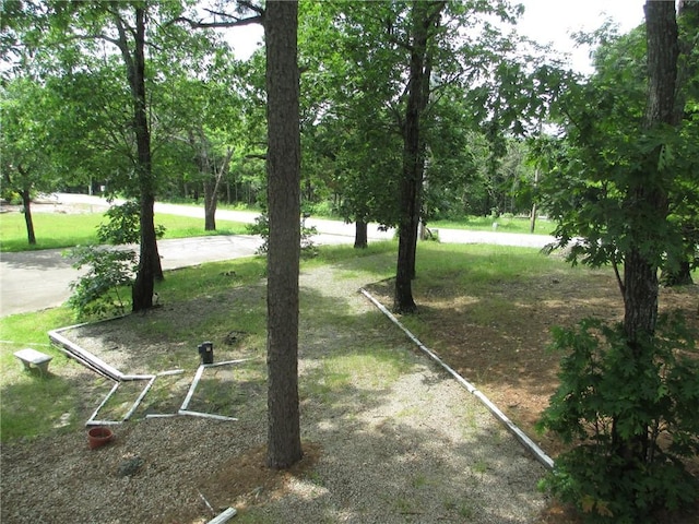 9 Rancho Vista Ln, Holiday Island, AR 72631 - view of yard