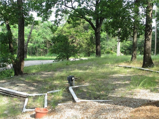 9 Rancho Vista Ln, Holiday Island, AR 72631 - view of yard