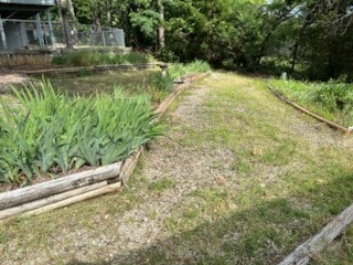 9 Rancho Vista Ln, Holiday Island, AR 72631 - view of yard with a vegetable garden