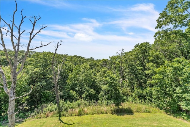 5 E Manton Ln, Bella Vista, AR 72714 - photo 27
