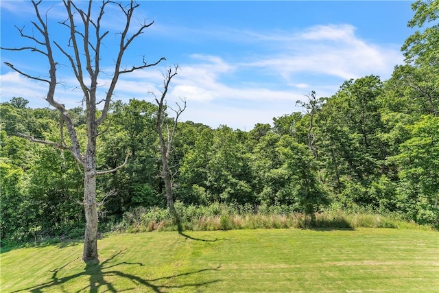 5 E Manton Ln, Bella Vista, AR 72714 - photo 28