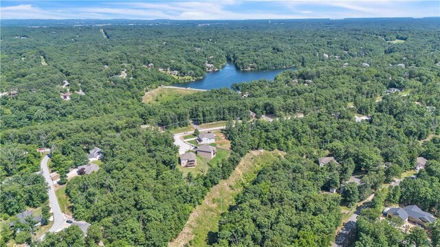 5 E Manton Ln, Bella Vista, AR 72714 - photo 40