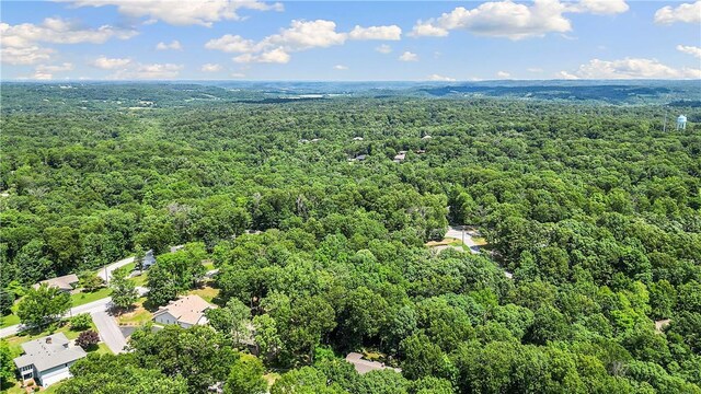 7 Amesbury Dr, Bella Vista, AR 72715 - photo 53