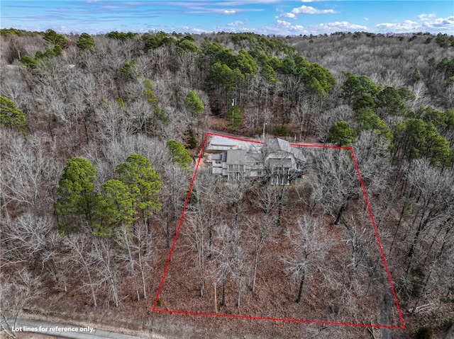 2480 N Saint Andrews Dr, Kansas, OK 74347 - view of subject property featuring property boundaries highlighted and a heavily wooded area
