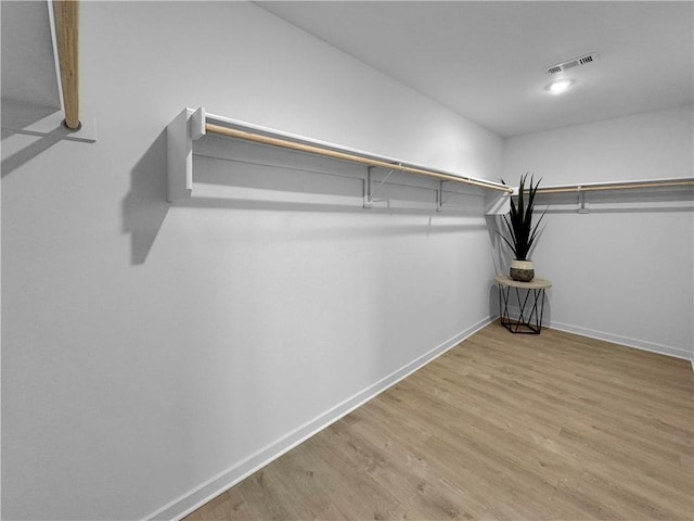 481 Maya St, Prairie Grove, AR 72753 - spacious closet with wood finished floors