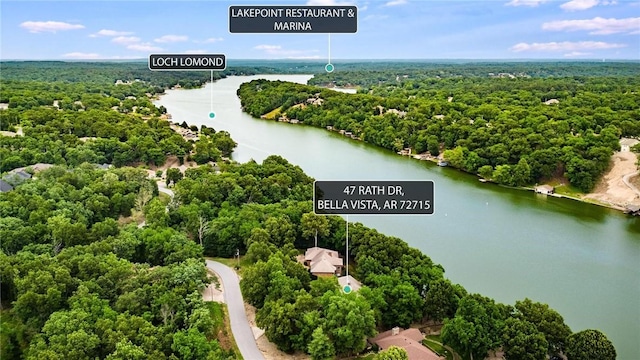 47 Rath Dr, Bella Vista, AR 72715 - aerial view of a large body of water and a forest