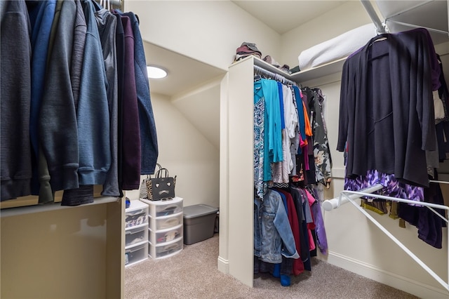 22704 Oakview Rd, Siloam Springs, AR 72761 - walk in closet featuring carpet floors