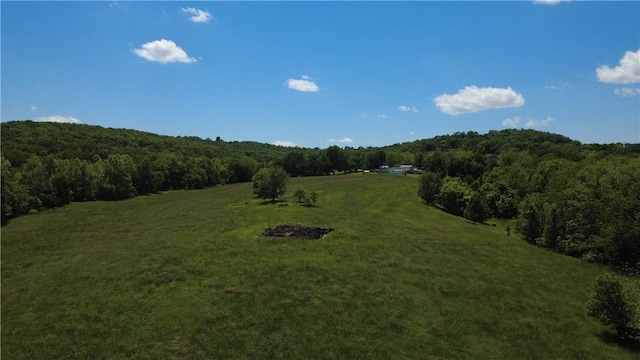 306 College St, Huntsville, AR 72740 - photo 15