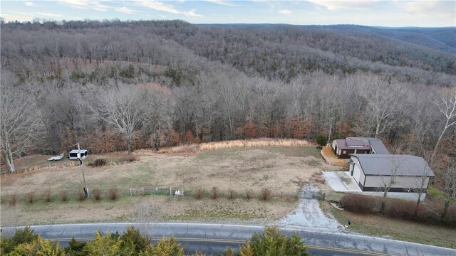 16470 Indian Creek Rd, Garfield, AR 72732 - photo 30