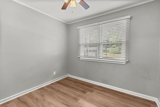 2227 Hatfield St, Fayetteville, AR 72703 - photo 12