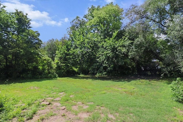 2300 W Holly St, Fayetteville, AR 72703 - photo 25