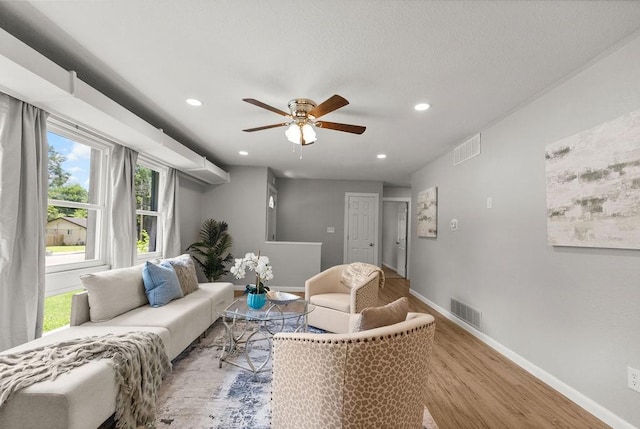 2300 W Holly St, Fayetteville, AR 72703 - photo 6