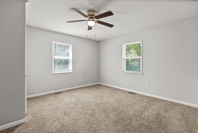 2300 W Holly St, Fayetteville, AR 72703 - photo 17