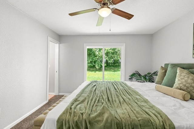 2300 W Holly St, Fayetteville, AR 72703 - photo 21