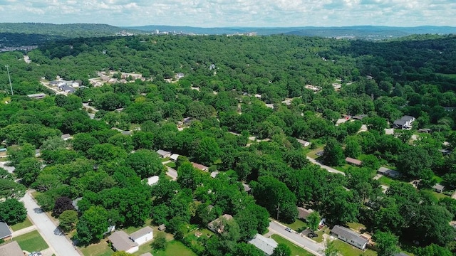 2300 W Holly St, Fayetteville, AR 72703 - photo 38