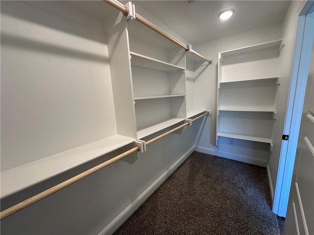 400 Fox Cir, Pea Ridge, AR 72751 - walk in closet with dark colored carpet