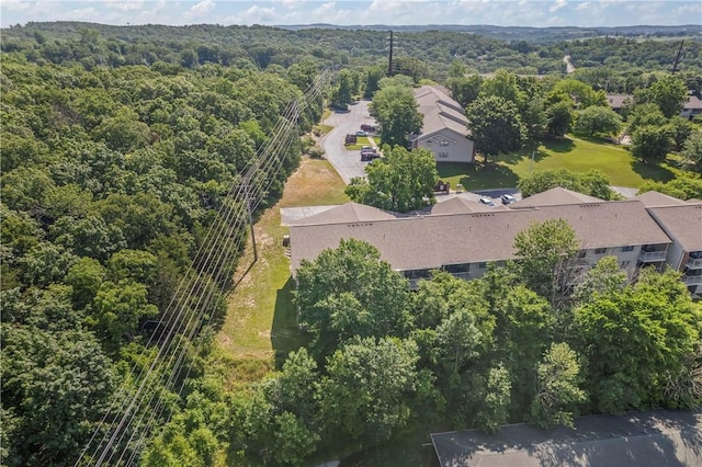350 S Wildwood Dr Unit C15, Branson, MO 65616 - aerial view of a forest