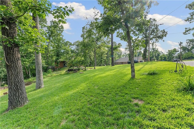 1610 Robinhood Rd, Bentonville, AR 72712 - photo 5