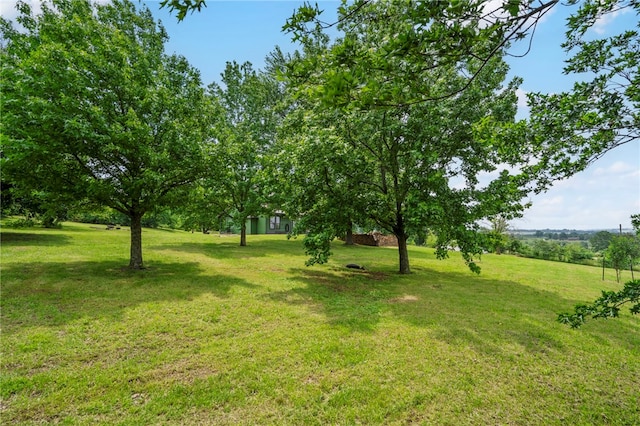 13004 Canehill Rd, Lincoln, AR 72744 - view of green lawn