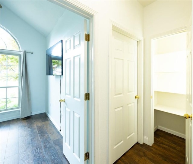 1813 SW Pine Ave, Bentonville, AR 72713 - hallway with healthy amount of natural light, dark wood-style flooring, vaulted ceiling, and baseboards