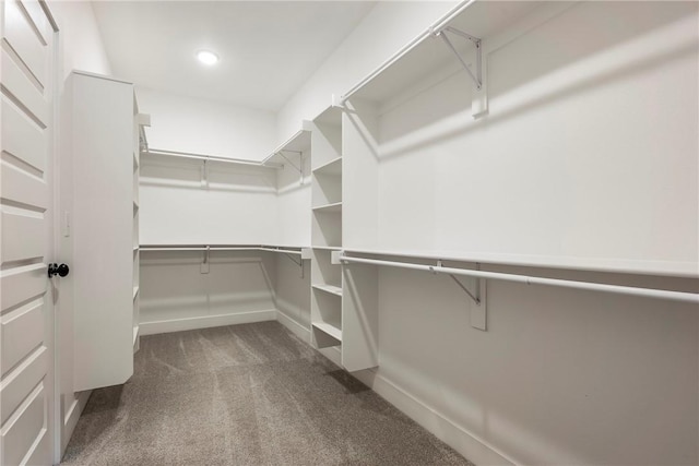 1221 Red Maple St, Centerton, AR 72719 - walk in closet featuring dark colored carpet