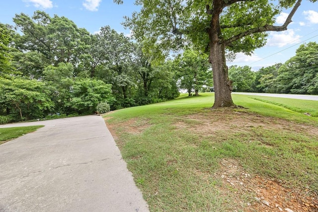 12017 Red Oak Dr, Fayetteville, AR 72704 - photo 6