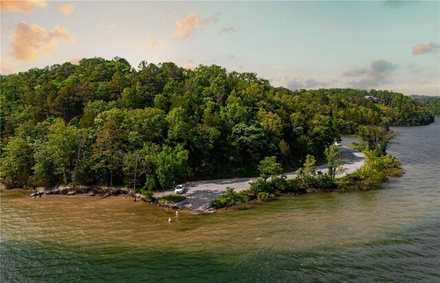 11648 Ventris Rd, Garfield, AR 72732 - water view with a forest
