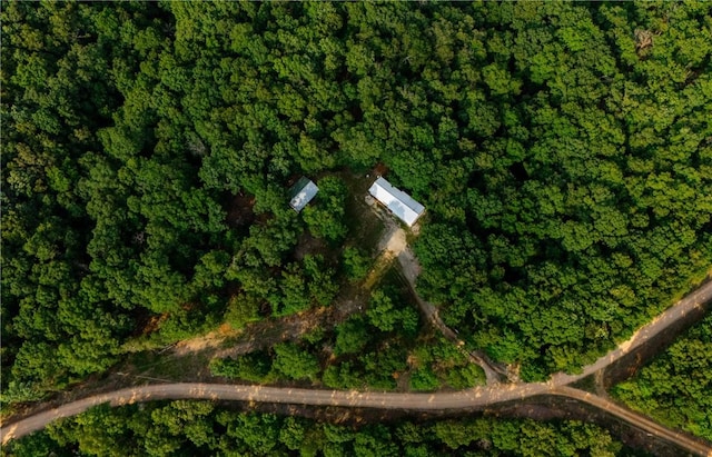 11648 Ventris Rd, Garfield, AR 72732 - aerial view of property's location