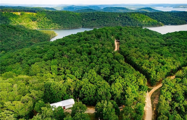 11648 Ventris Rd, Garfield, AR 72732 - drone / aerial view of a forest and a large body of water