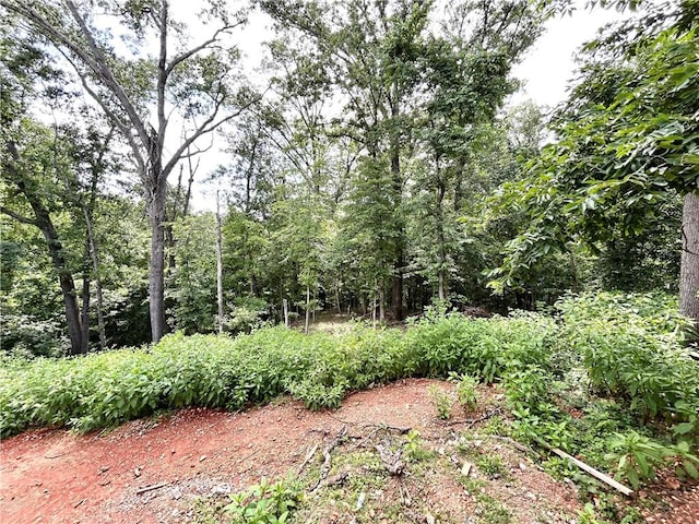 1 Breeghle Ln, Bella Vista, AR 72714 - view of local wilderness