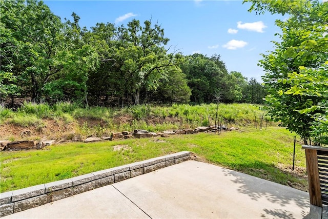 1054 E Huntsville Rd, Fayetteville, AR 72701 - photo 31