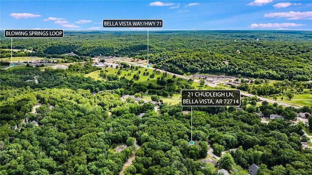 21 Chudleigh Ln, Bella Vista, AR 72714 - photo 28