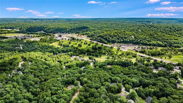 21 Chudleigh Ln, Bella Vista, AR 72714 - drone / aerial view of a forest