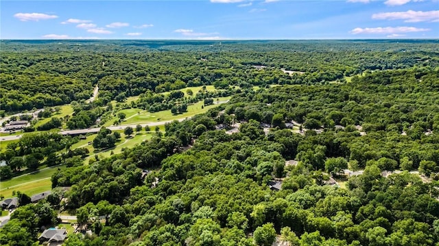 21 Chudleigh Ln, Bella Vista, AR 72714 - drone / aerial view of a forest