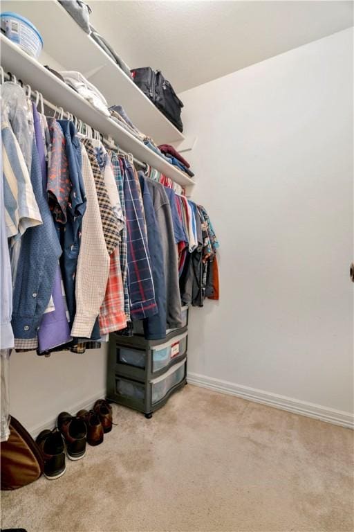 679 Richland Creek Ave, Elkins, AR 72727 - walk in closet with carpet flooring