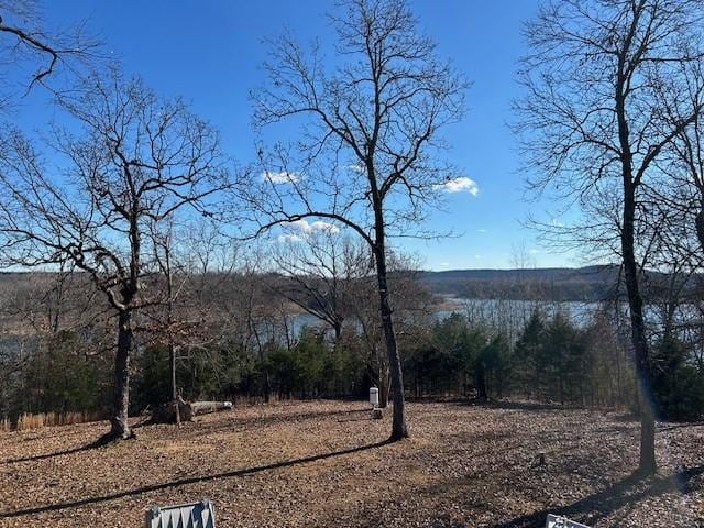 343 Lakewood Ln, Yellville, AR 72687 - photo 2